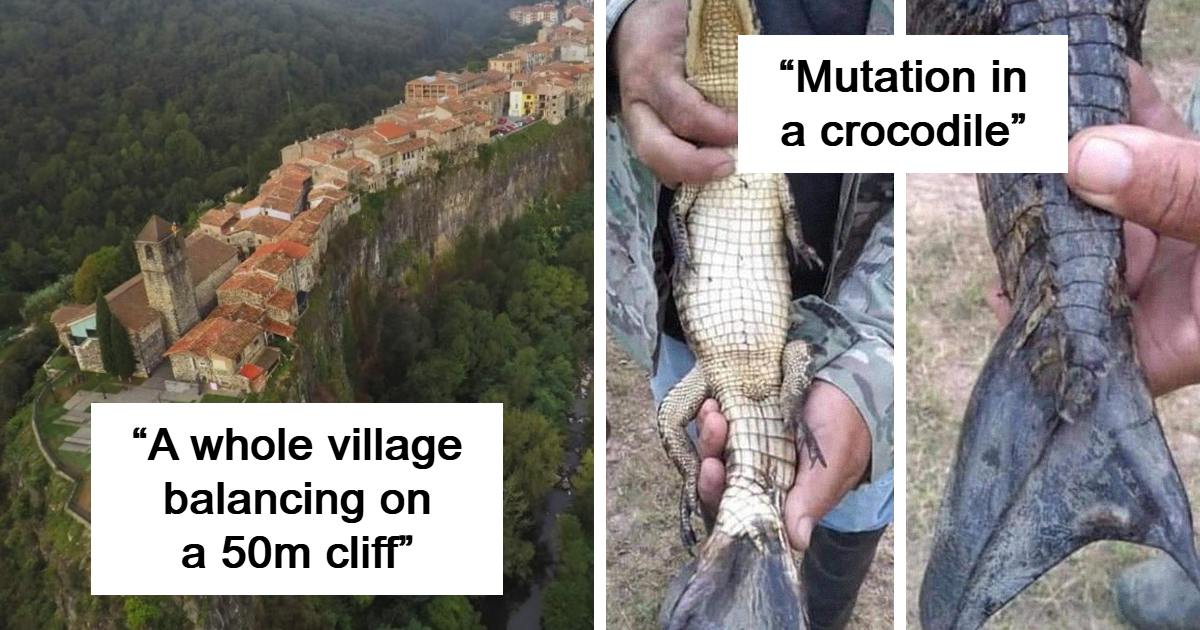 40 Feel-Good Pictures That Prove The Internet Can Still Be A Nice Place