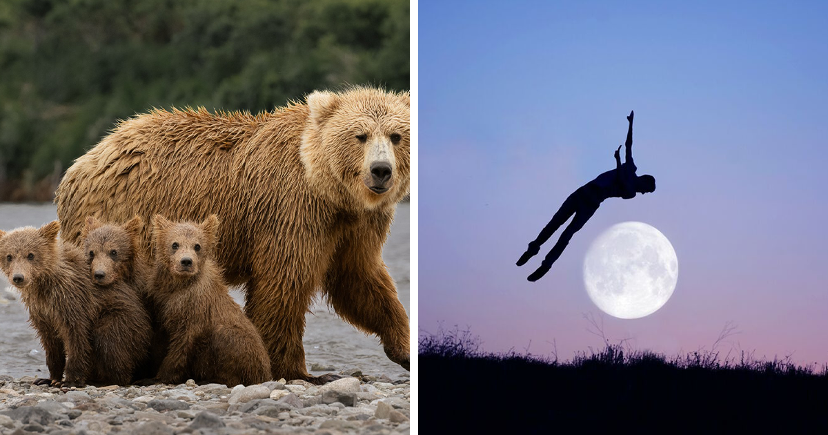 15 Extraordinary Photos That Stood Out At The 1839 Awards 2025