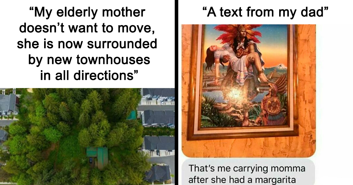 40 Wholesome Memes That Feel Like A Small Dose Of Happiness