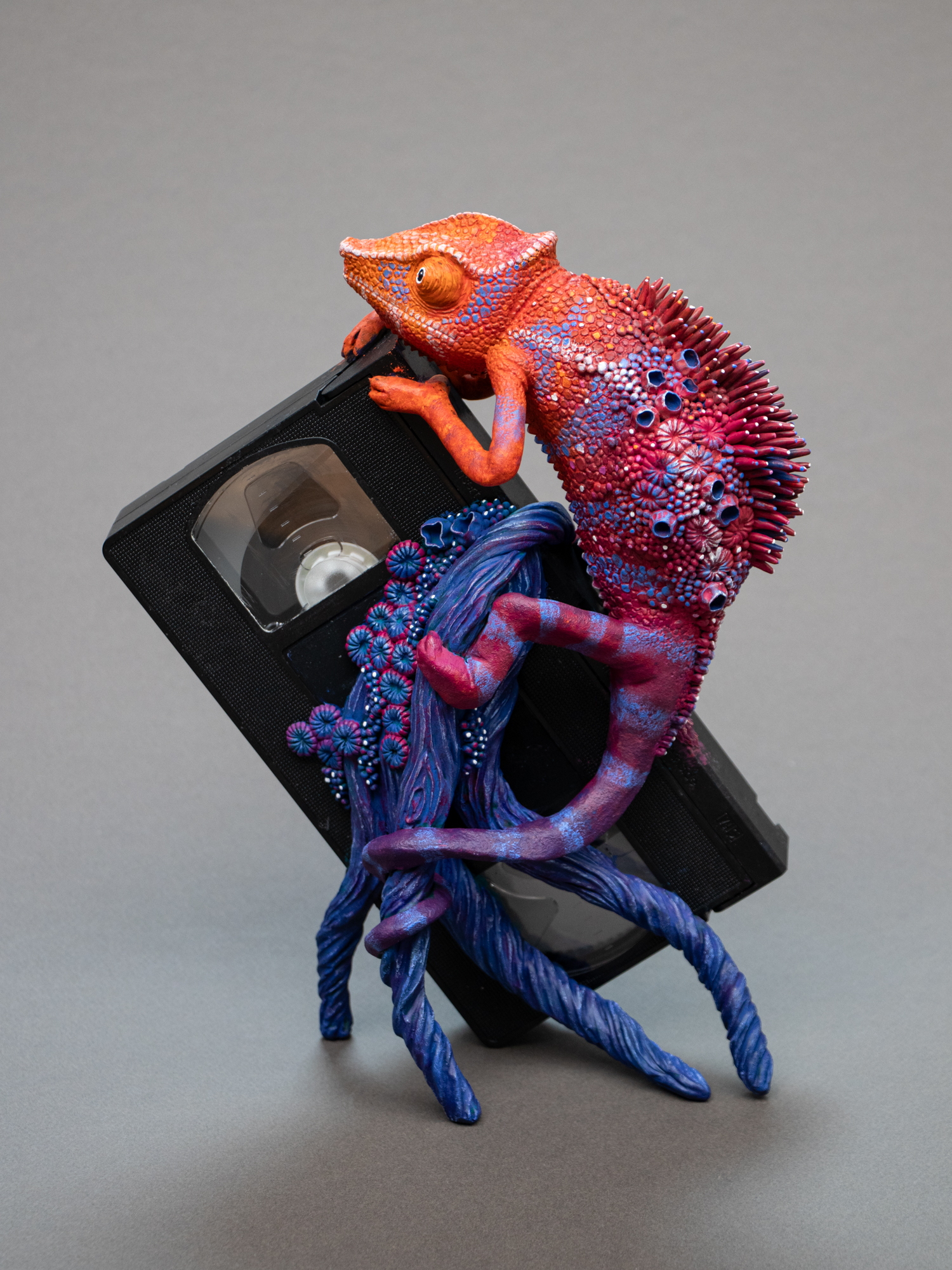 Artist Reimagines Flora & Fauna Colourfully Repossessing Discarded