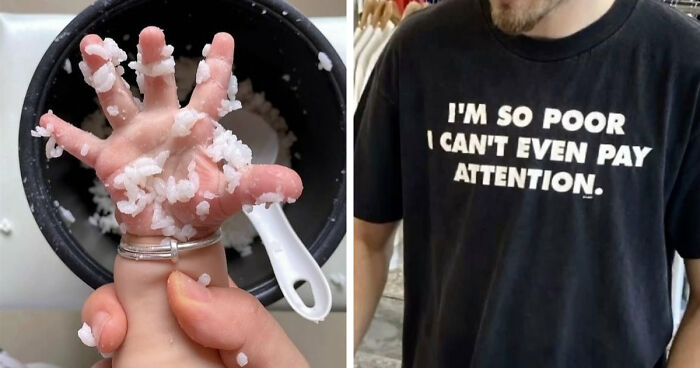 40 Random Photos That Are Funny For Absolutely No Reason