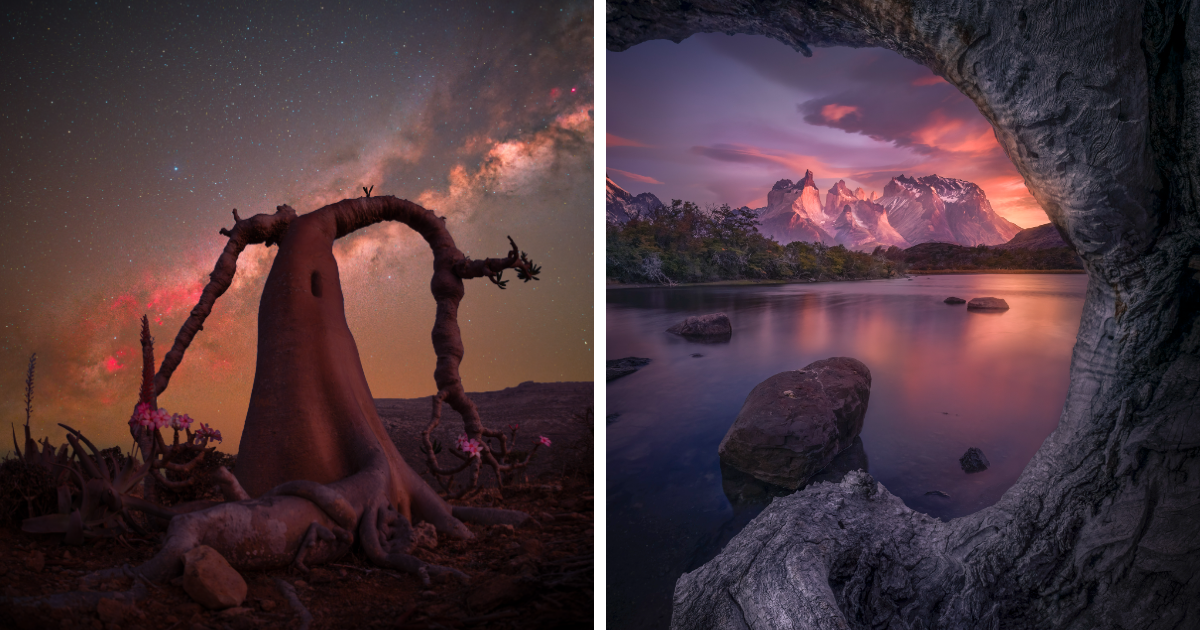 20 Stunning Shots That Won At The International Landscape Photographer of the Year 2025 Contest