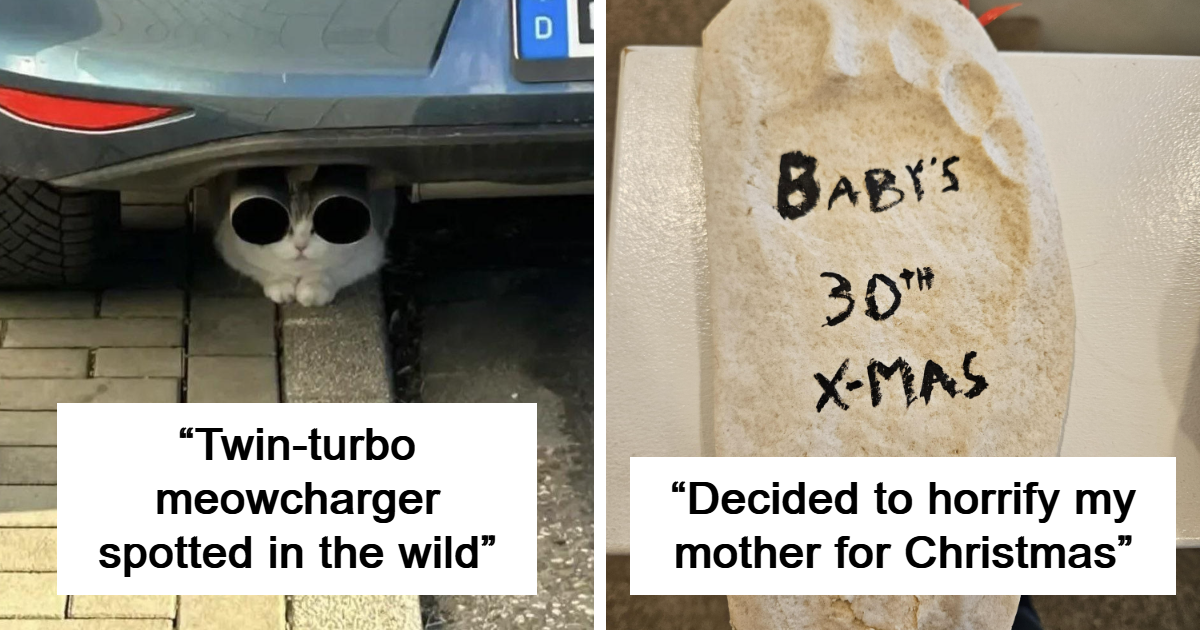 40 Photos From 2025 That Somehow Explain The Year Better Than Words Ever Could