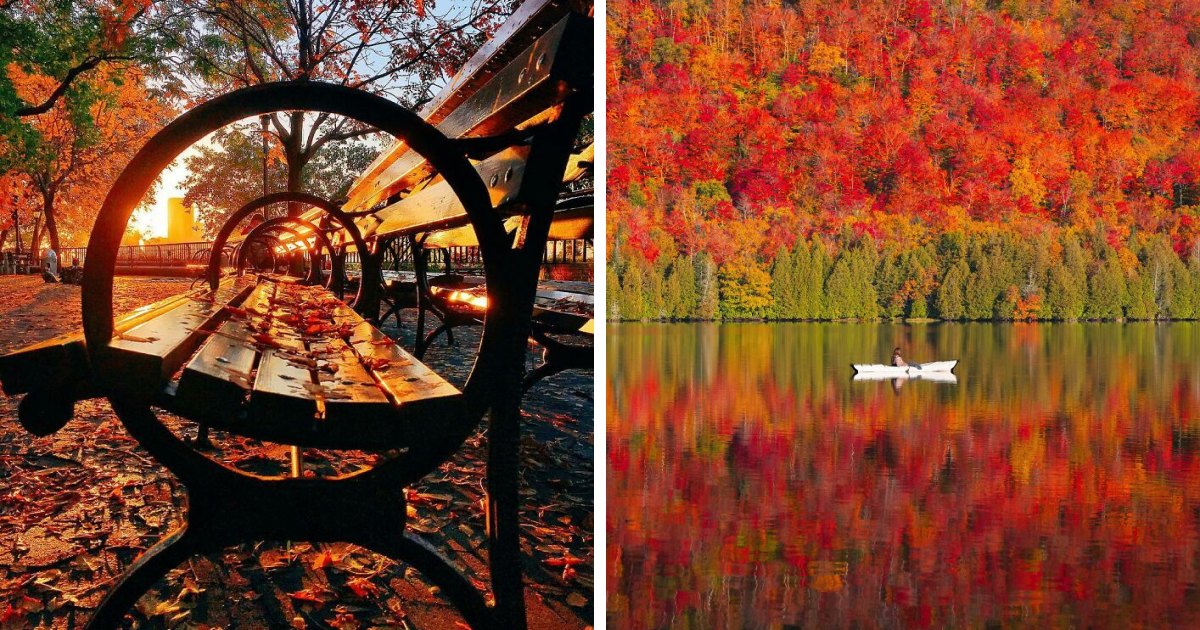 40 Stunning Autumn Photos That Highlight Nature’s Most Beautiful Transformation