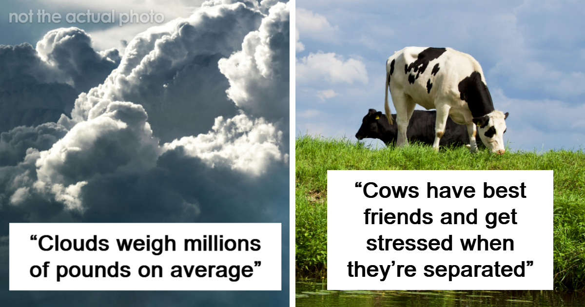 35 Facts About The World That Sound Totally Fake But Are 100% True
