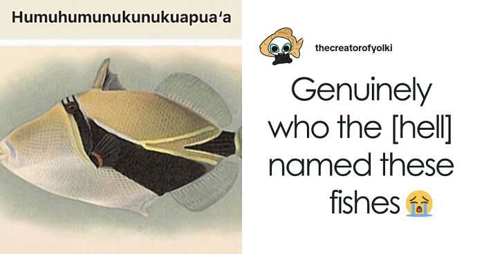 25 Bizarre Scientific Animal Names That Sound Like A Bad Prank