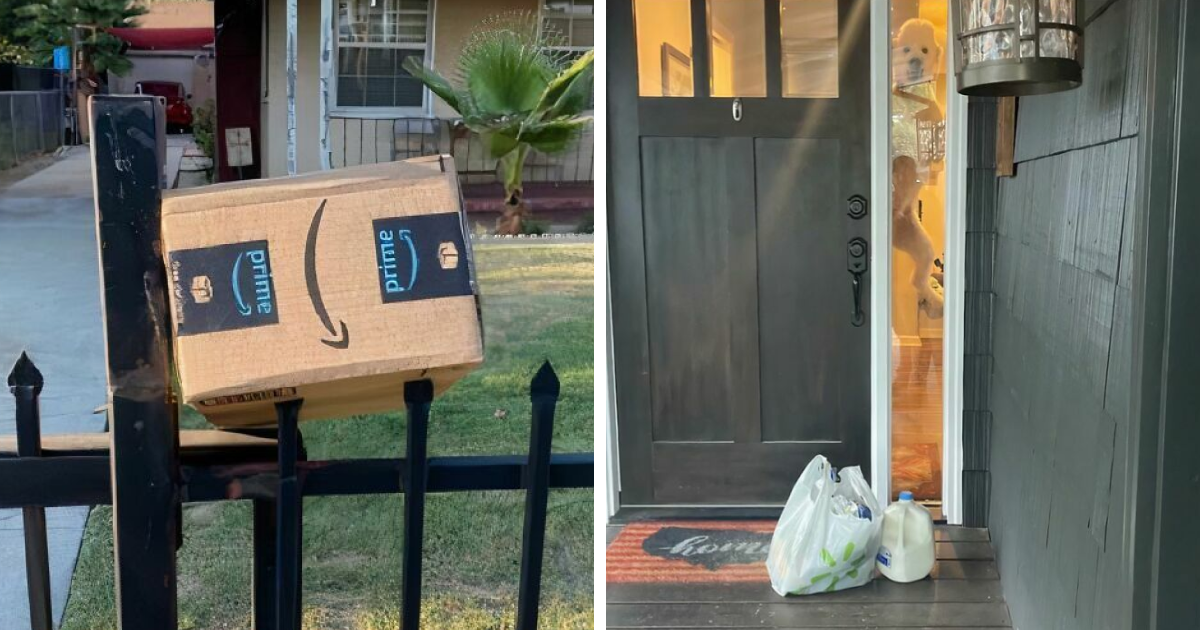 40 Of The Most Unexpected Delivery Confirmation Shots Ever Taken