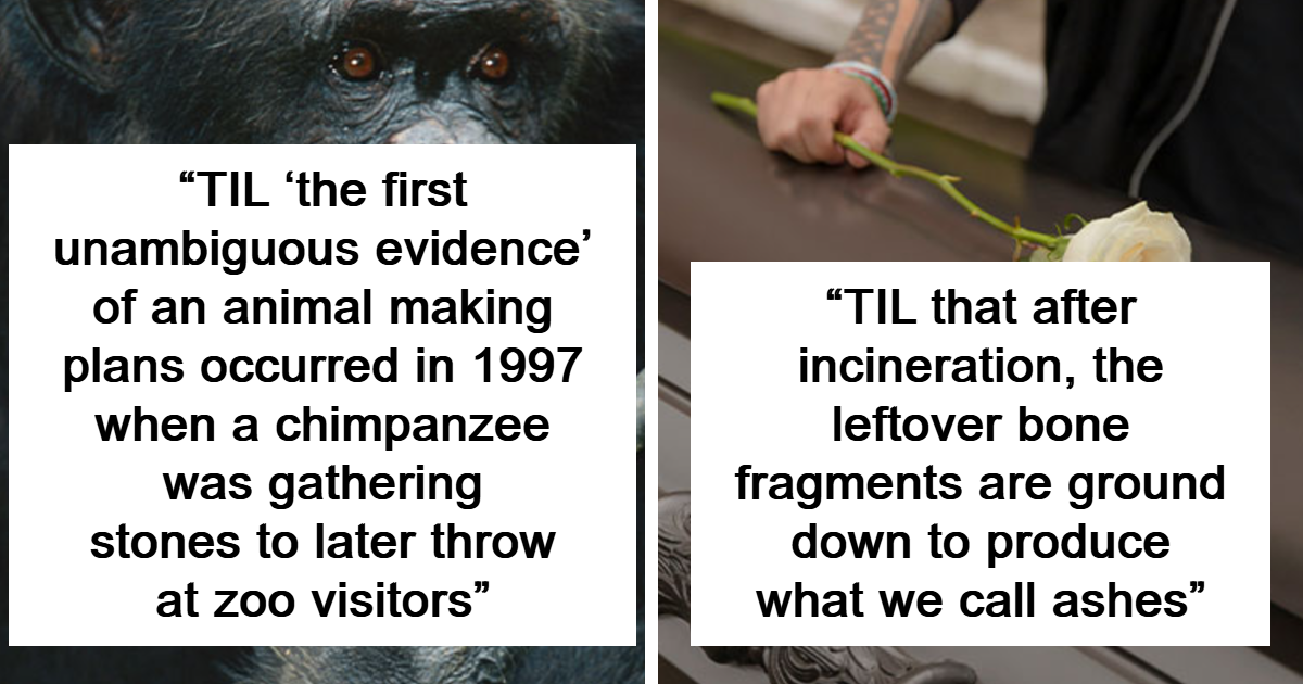 25 New “Today I Learned” Facts That Prove We Still Have A Lot To Learn