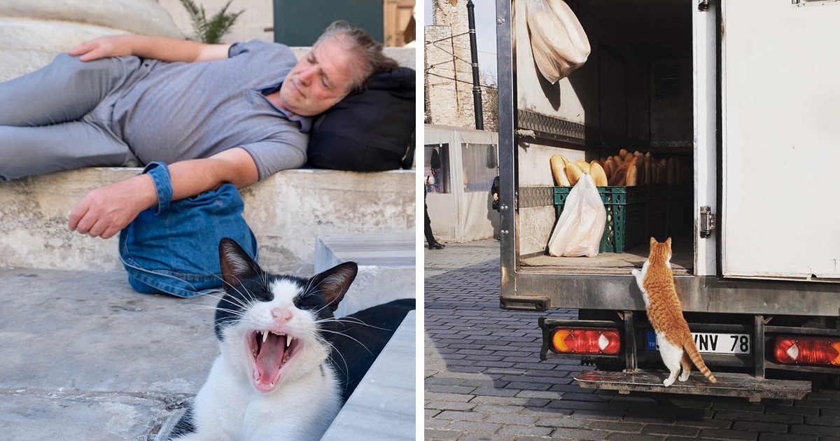 40 Candid Street Photos That Capture The Spirit Of Istanbul, By Sami Uçan