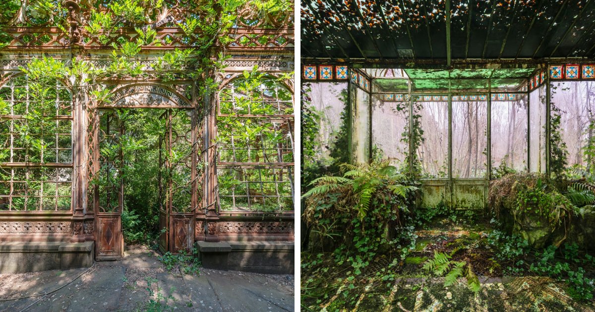 Romain Veillon Photographs Forgotten Greenhouses Overtaken By Lush Greenery