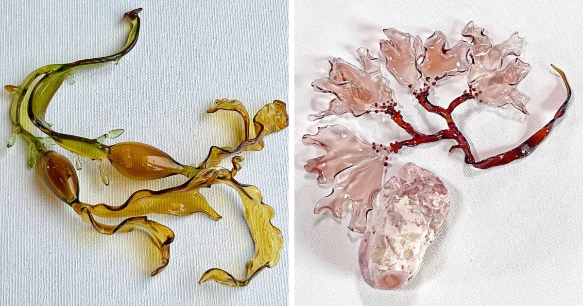 9 Intricate Designs Of Seaweeds Made From Glass By Andrea Spencer