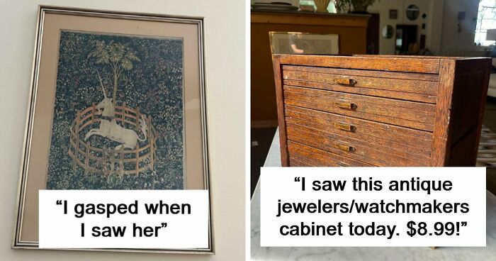 “I Couldn’t Believe My Eyes”: 40 Thrift Store Finds That Felt Like Pure Luck