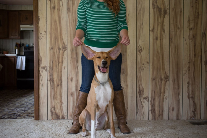 why-we-rescue-adopted-pets-theron-humphrey-32