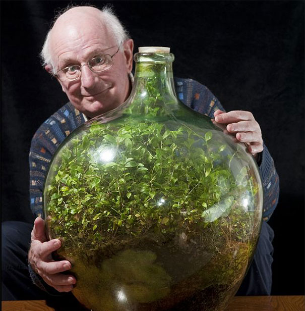 〈N/G〉 SEALED BOTTLE PLANTS 80-Year-Old Grows A Thriving Garden In A Sealed Bottle Last
