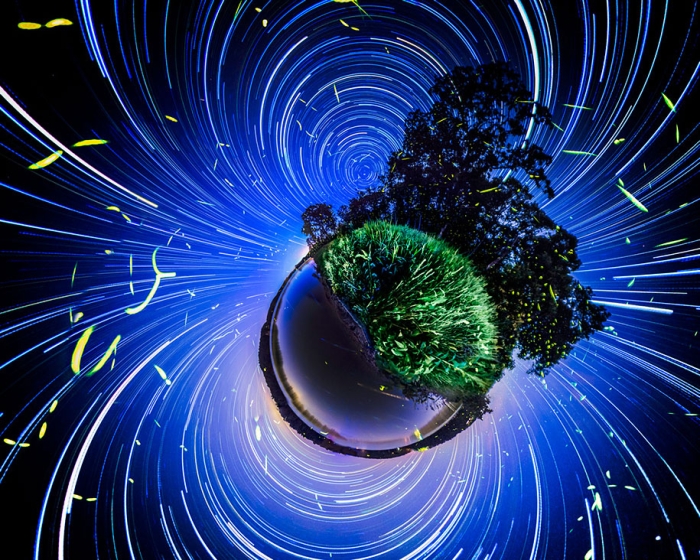 firefly-time-lapse-photography-vincent-brady-10