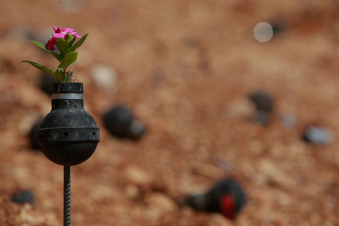 tear-gas-grenade-flower-pots-palestine-1