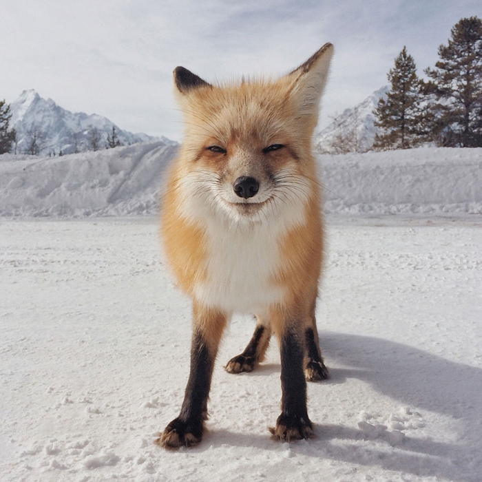 2014-iphone-photography-award-winners-smartphone-25