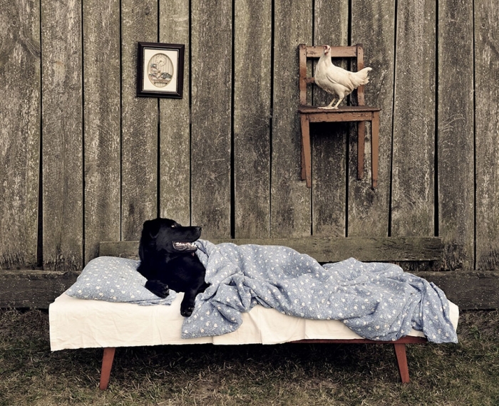 children-rural-family-photography-sebastian-luczywo-16