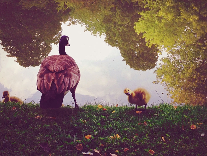 2014-iphone-photography-award-winners-smartphone-17