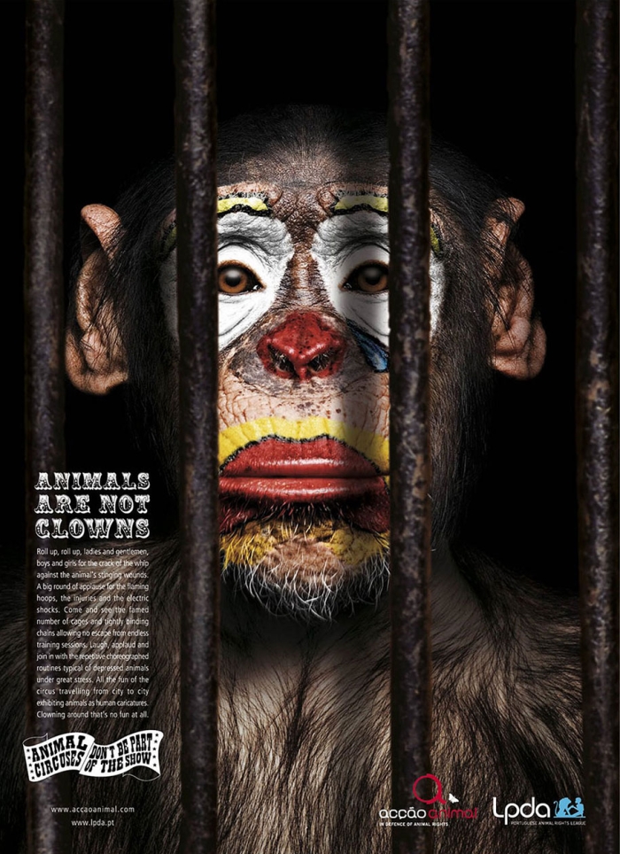 social-awareness-powerful-animal-ads-4