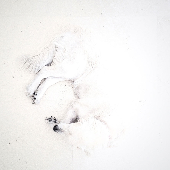 2014-iphone-photography-award-winners-smartphone-6