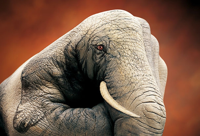 animal-body-art-12