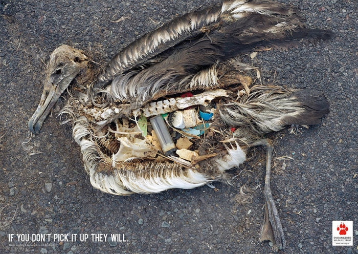 social-awareness-powerful-animal-ads-6