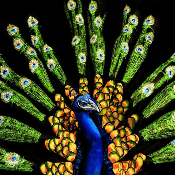animal-body-art-14