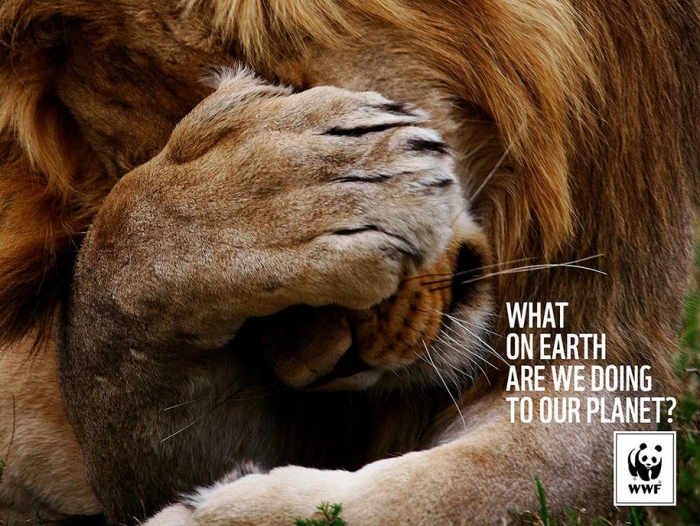 social-awareness-powerful-animal-ads-49