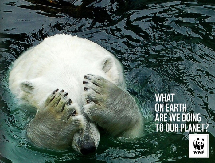 social-awareness-powerful-animal-ads-50