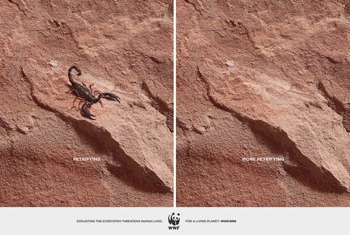 social-awareness-powerful-animal-ads-8