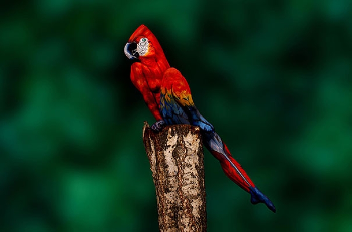 animal-body-art-18