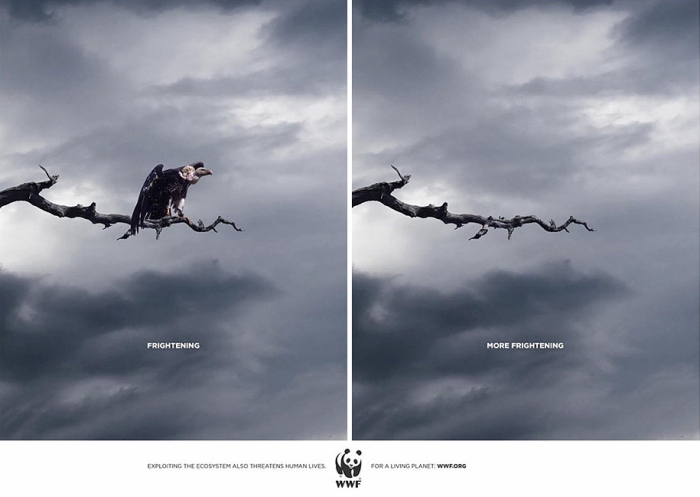 social-awareness-powerful-animal-ads-9