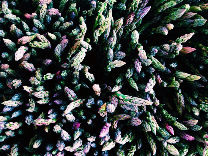 2014-iphone-photography-award-winners-smartphone-22