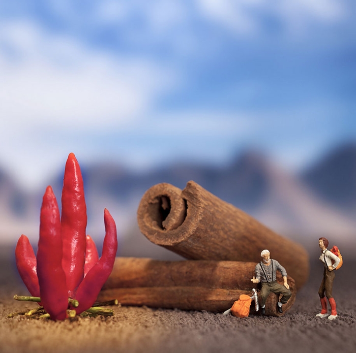minimize-food-miniature-photography-diorama-william-kass-27