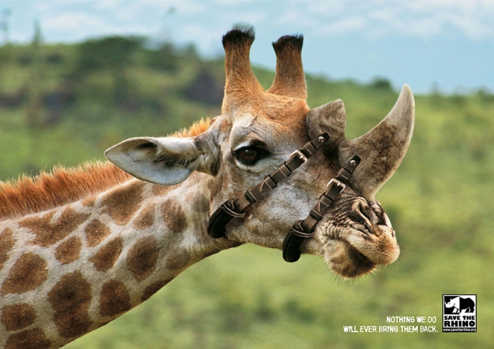 social-awareness-powerful-animal-ads-13