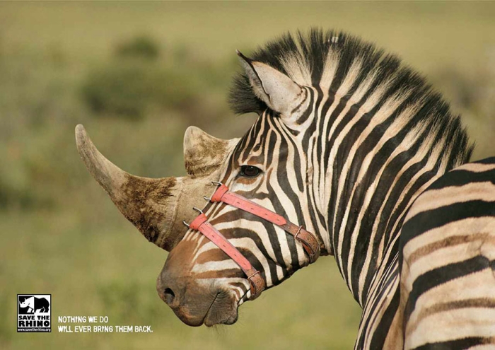 social-awareness-powerful-animal-ads-14