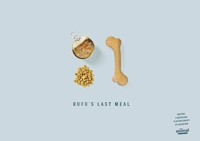 social-awareness-powerful-animal-ads-17