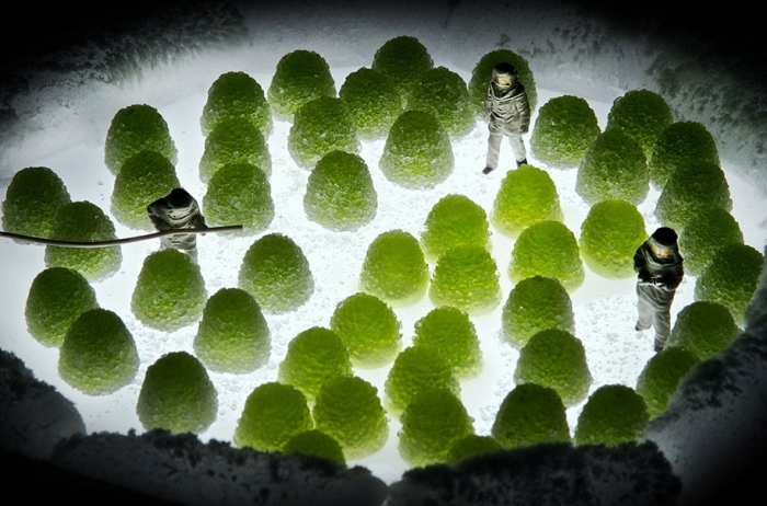 minimize-food-miniature-photography-diorama-william-kass-25