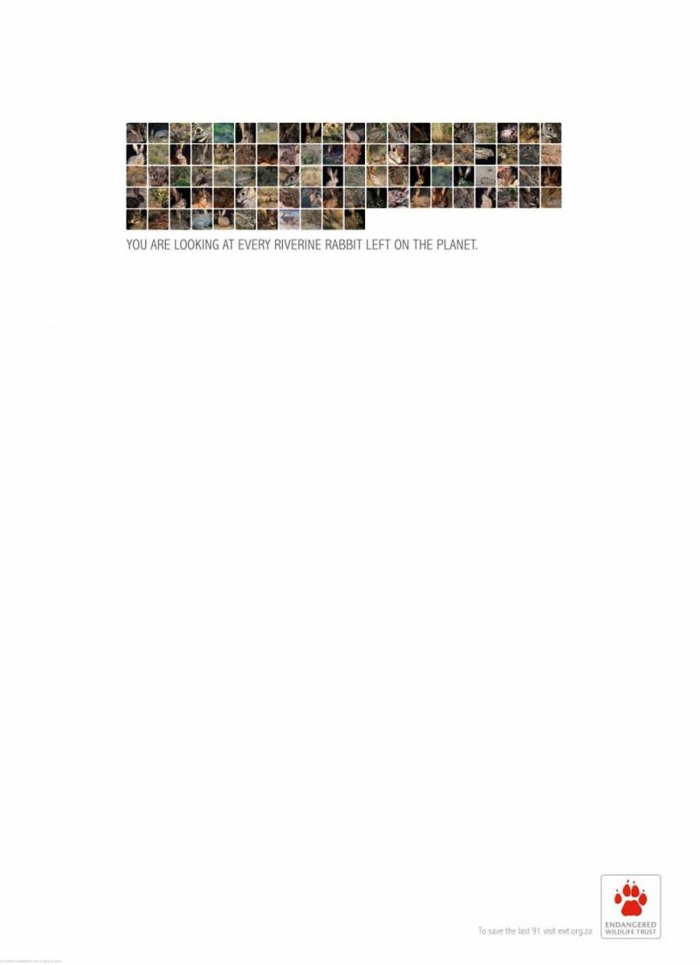 social-awareness-powerful-animal-ads-21