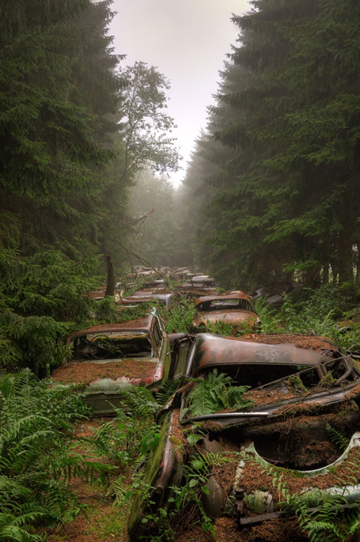 chatillon-car-graveyard-abandoned-cars-vehicle-cemetery-rosanne-de-lange-4