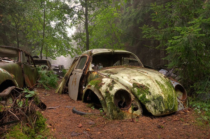 chatillon-car-graveyard-abandoned-cars-vehicle-cemetery-rosanne-de-lange-1