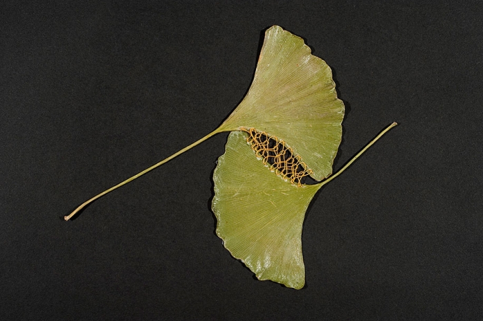 embroidery-art-stitched-leaves-hillary-fayle-14