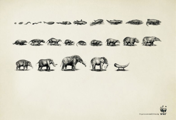 social-awareness-powerful-animal-ads-33