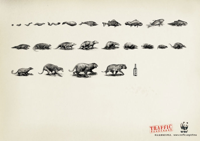 social-awareness-powerful-animal-ads-34