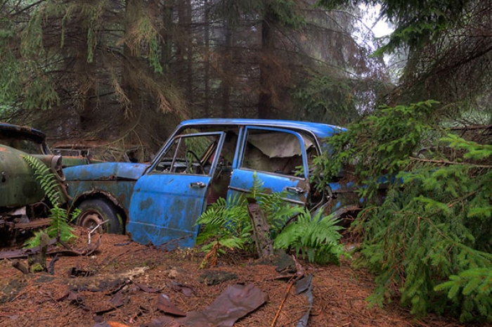 chatillon-car-graveyard-abandoned-cars-vehicle-cemetery-rosanne-de-lange-5