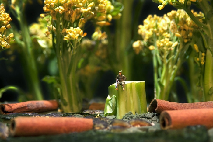 minimize-food-miniature-photography-diorama-william-kass-22