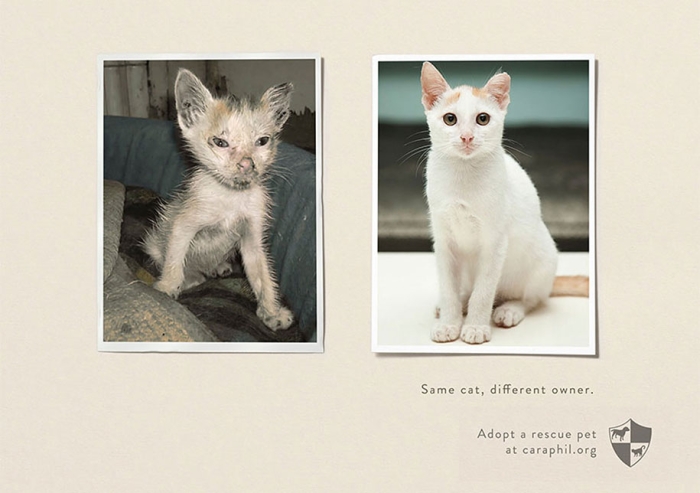 social-awareness-powerful-animal-ads-37