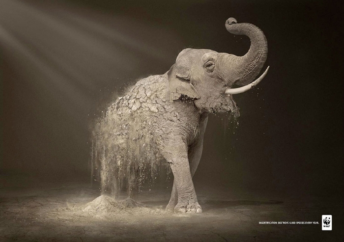social-awareness-powerful-animal-ads-39