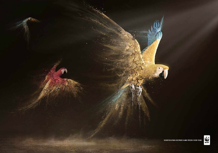 social-awareness-powerful-animal-ads-41